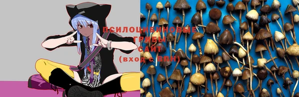 прущие крисы Бронницы