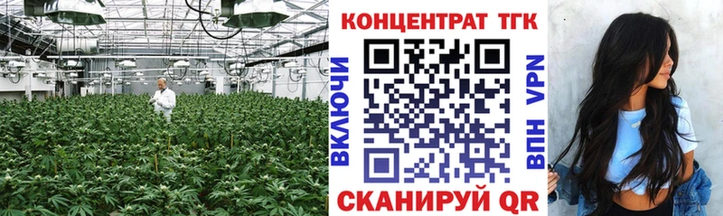 где можно купить Злынка ТГК THC oil